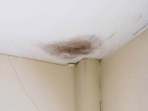 Damp on ceiling at Manchester house