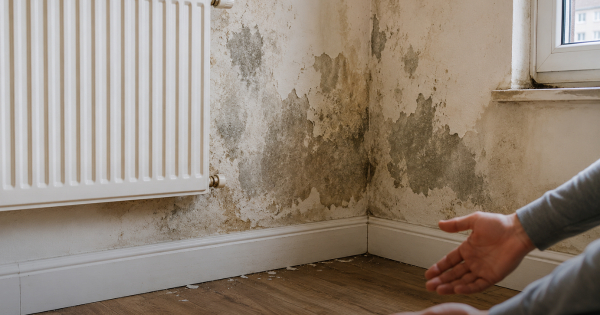 Can I Sue My Landlord for Damp and Mould?