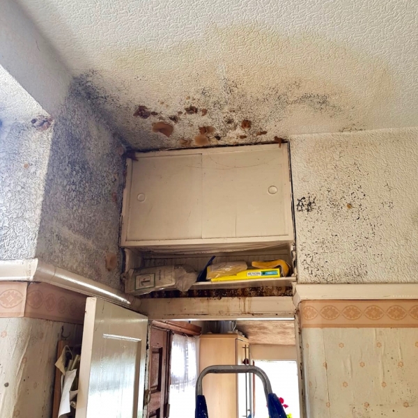 HOME IMPROVEMENT Renters can sue landlords over damp and mouldy homes from today